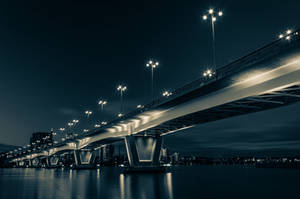 Bridge lights III