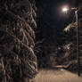 December night