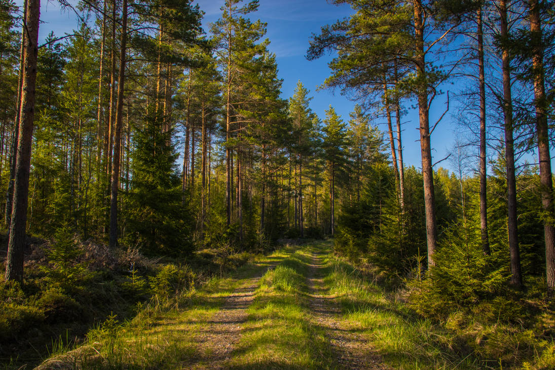 Path by mabuli on DeviantArt