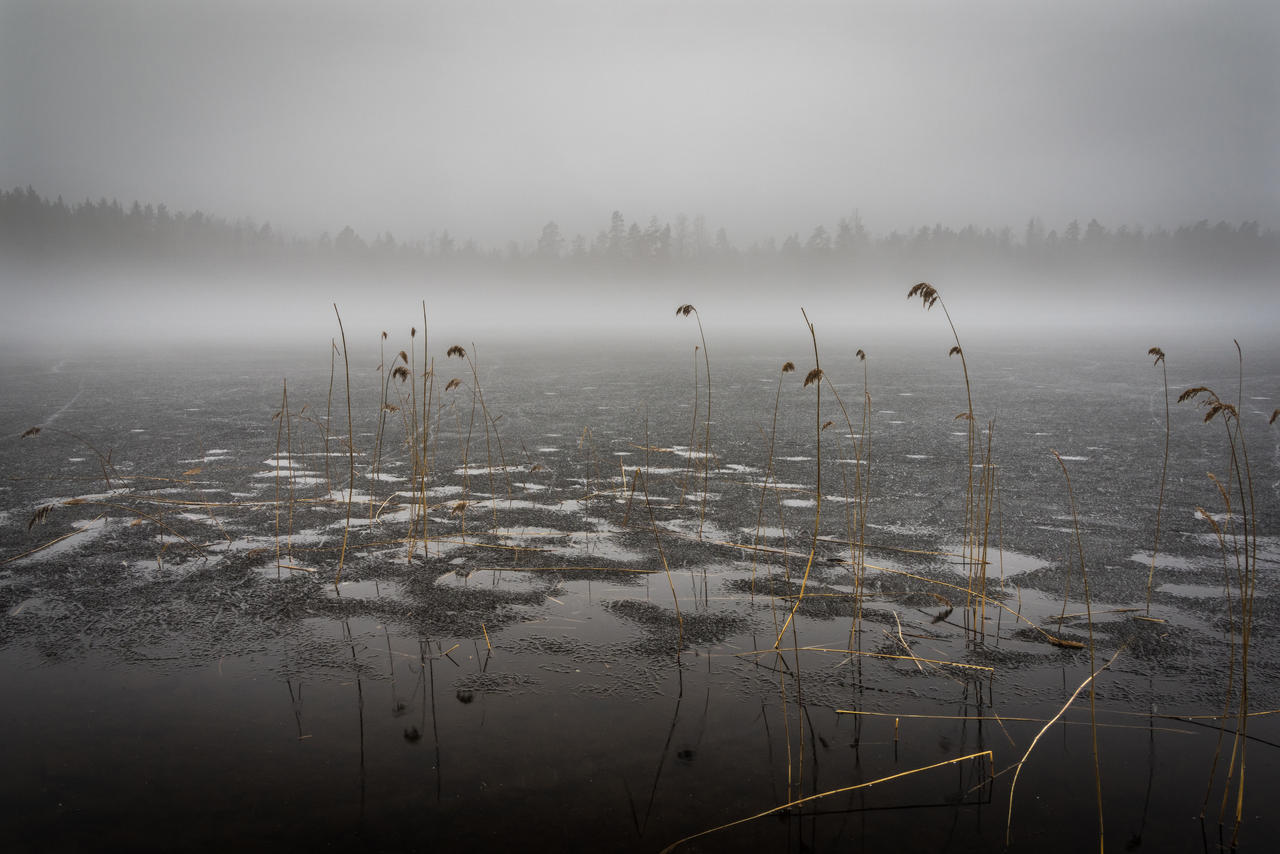 Silent lake II