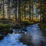 Autumn flow IV