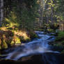 Autumn flow V