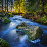 Autumn flow VI