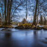 Between the trees