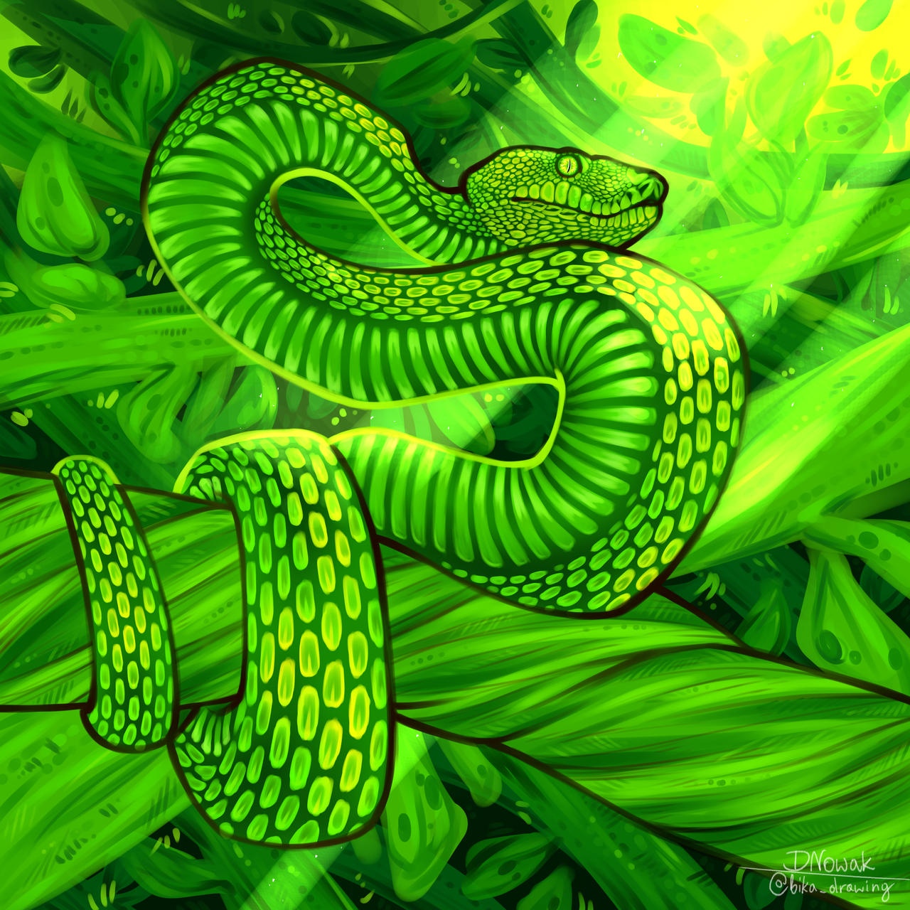 Green Python by BikaDrawing on DeviantArt