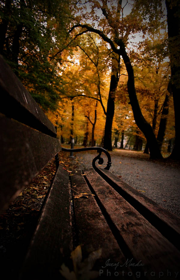 Last fall by CromarK