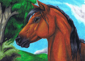 Oil Pastel Horse