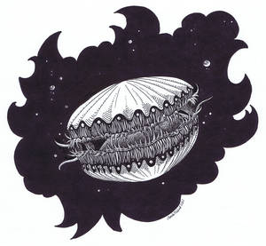 Inktober 4th - Scallop