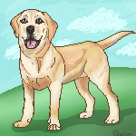 Labrador Retriever by basktball2022