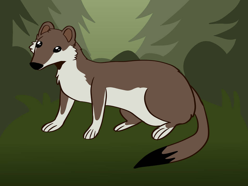 Stoat Summer by CHARKIEXD on DeviantArt