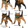 Warrior cat adoptables 29