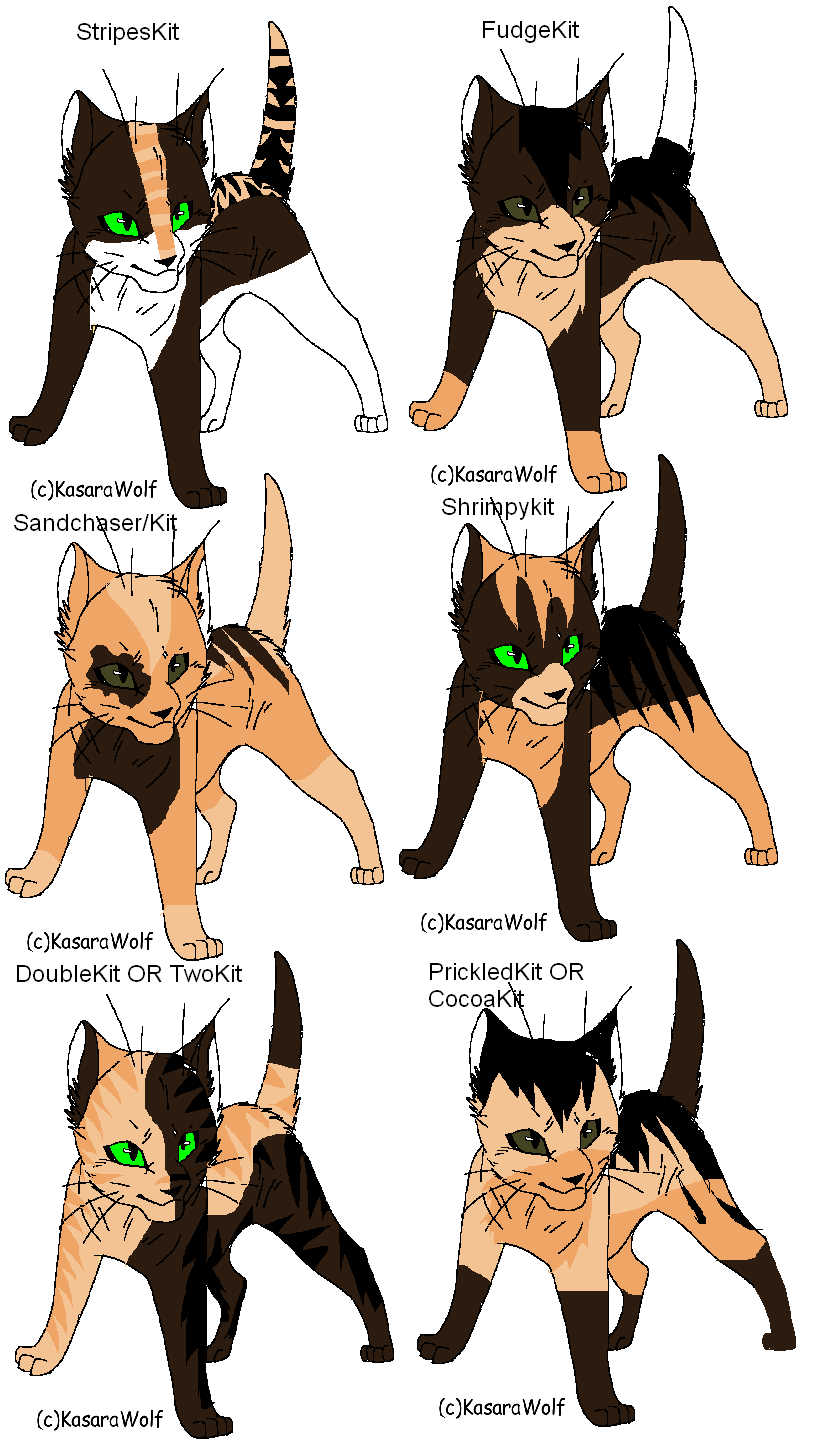 Warrior Cat Adoptables 30-OPEN