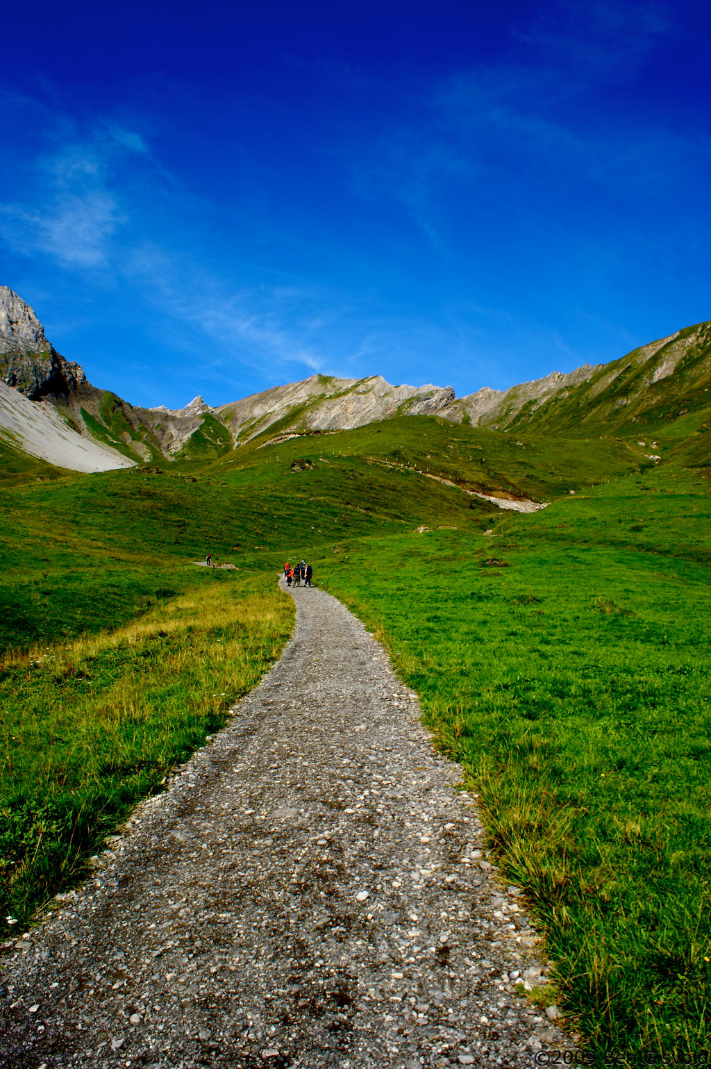 Into the mountains