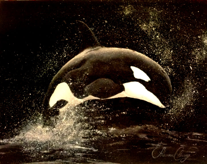 Orca