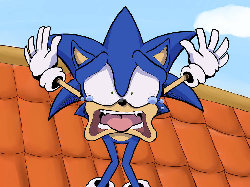 Sonic X Redraw Ep 1  Sonic the Hedgehog! Amino