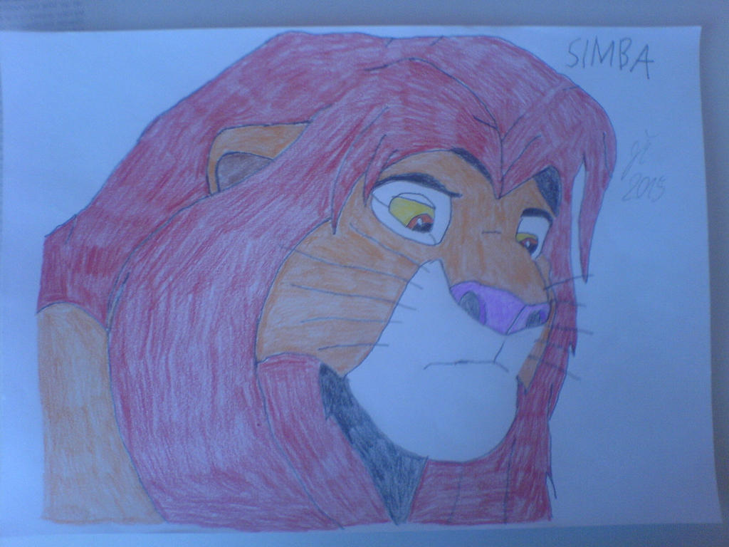 SIMBA COLORED 1 by BOHEMIAWILDSHADOW on DeviantArt