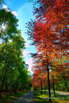 Red and green