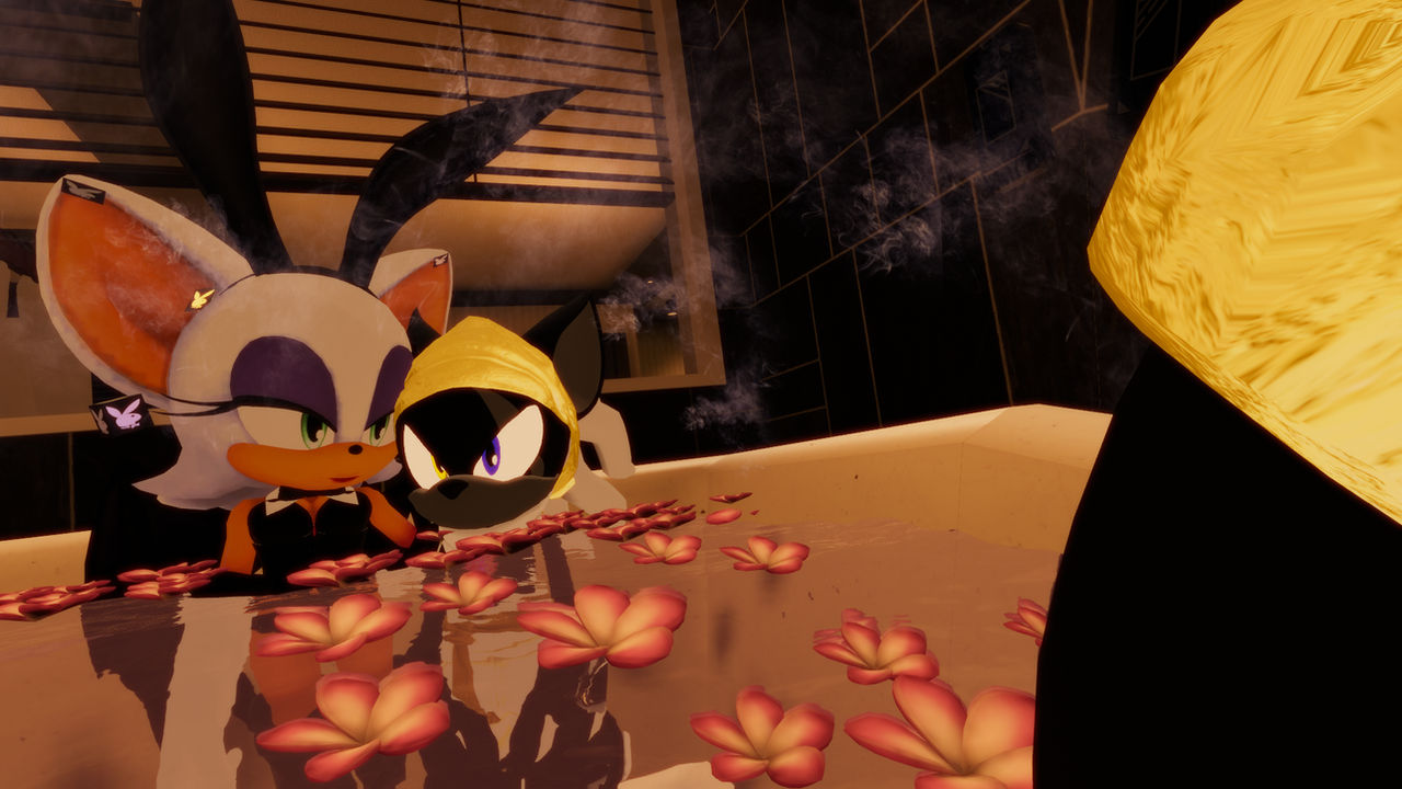 Shadow Rouge Wolf Rouge, Shadow and Infinite by Otokun42 on DeviantArt