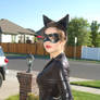 Catwoman Cosplay