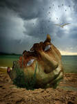 Fragile Dreams by MelGama