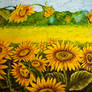 Sunflower Field