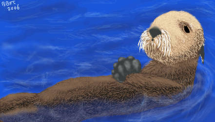 Sea Otter