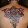 polynesian back