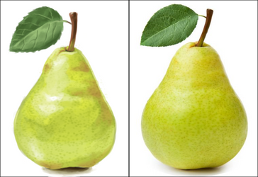 Pear #1 - Still Life Practice