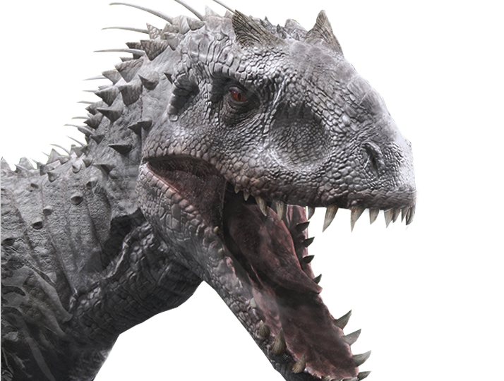Irrex Irex Face by jesuskent2014 on DeviantArt