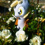 Derpy's Hiding In the Roses