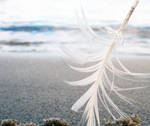 goin with the wind by deety89