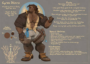 2019 Cyros Silvirin Ref Sheet