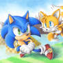 Level Sonic and Boss Tails