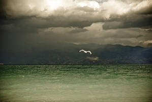 Flying Into The Storm