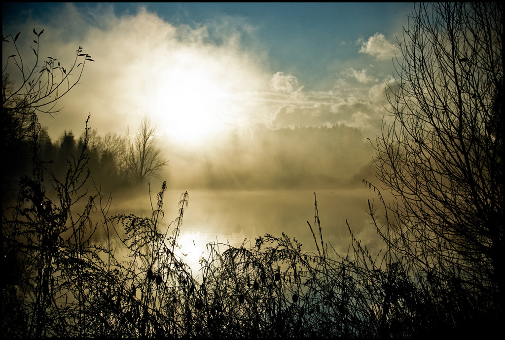 Evening mist