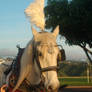 Ikaika at friends wedding