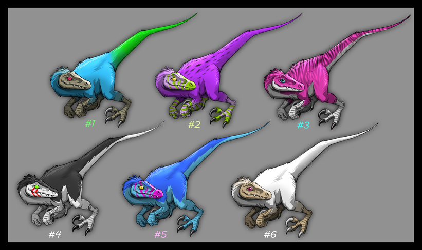 adoptables: raptors