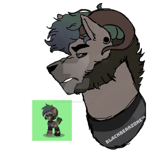 Jackson [Pony town]