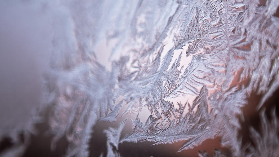 Winter Wallpaper