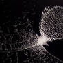 Effects of a Rotating Cosmic String Loop on Plasma