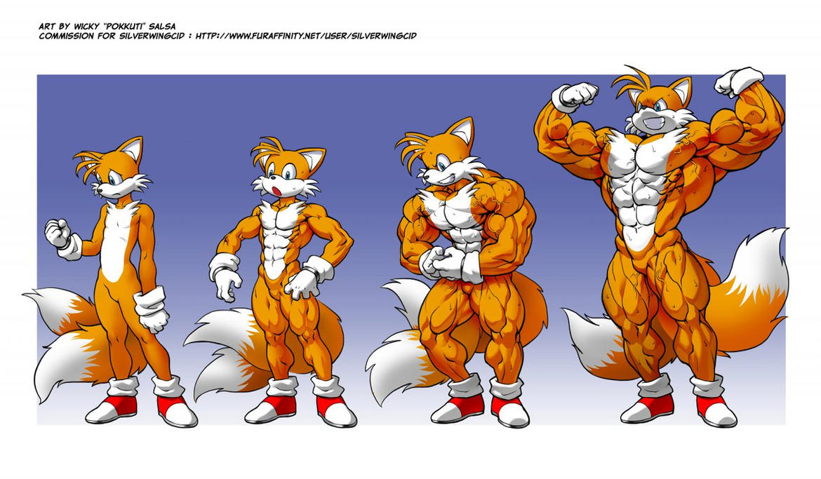 Sonic Tails Transformation. 