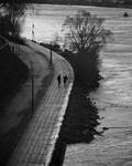 Ballade lyonnaise by Orioto
