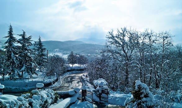 HDR Winter Snowfall