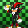 Sonic 35th Marathon: Shadow the Hedgehog