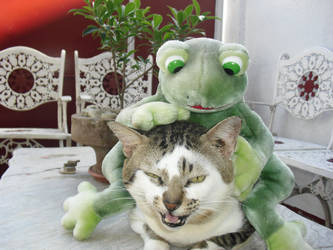 CAT and FROG