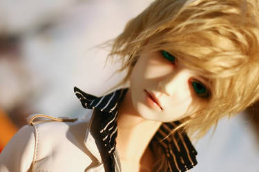 BJD-At First Glance