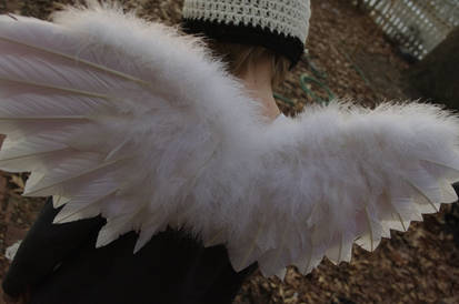 Angel Wings