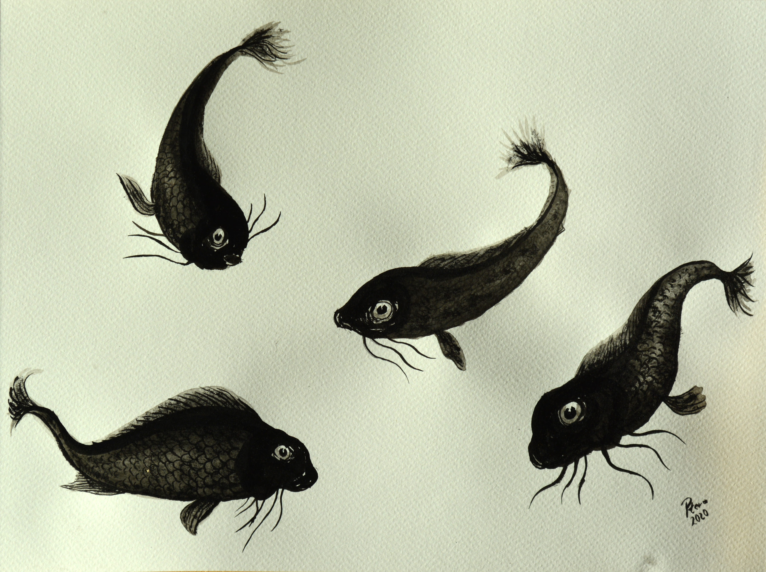 Ink Fishes by Ptero-Pterodactylus on DeviantArt