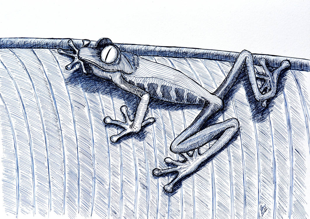 Ink frog by Ptero-Pterodactylus on DeviantArt