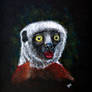 Coquerel-Sifaka (Propithecus Coquereli)